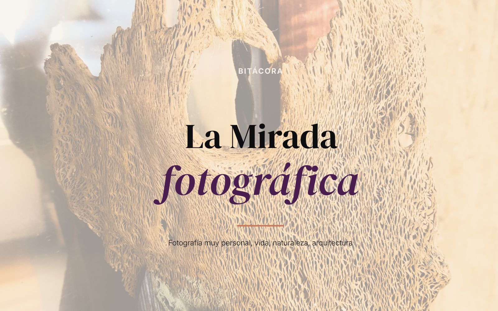 Imagen representativa del blog de fotografía La Mirada